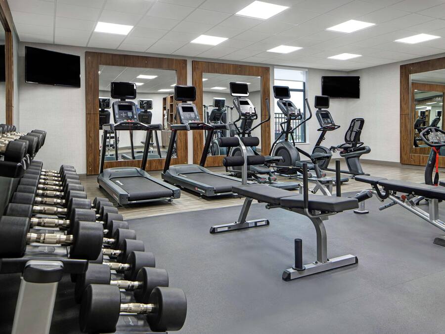 A gym with treadmills, elliptical machines, and dumbbells.