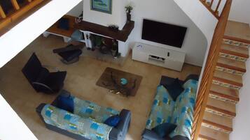 Smart TV, fireplace, books