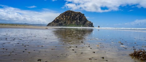 Perto da praia, espreguiçadeiras, toalhas de praia 