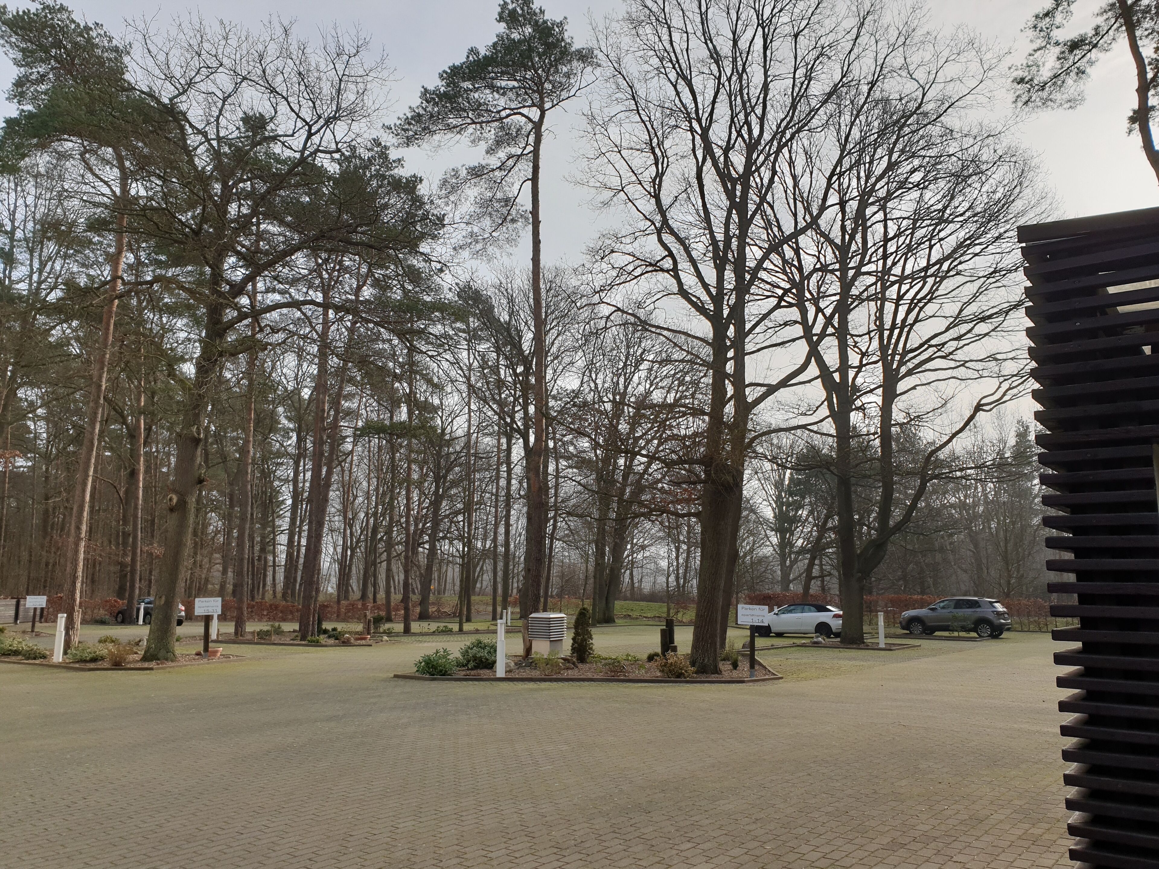 Een parkeerplaats met bomen en een verharde looppad.