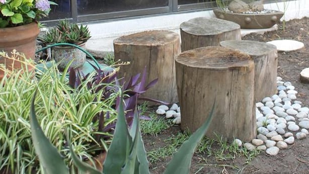Un jardín con macetas, troncos de madera y un ventanal que da a una habitación.