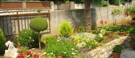 Terrein van de accommodatie