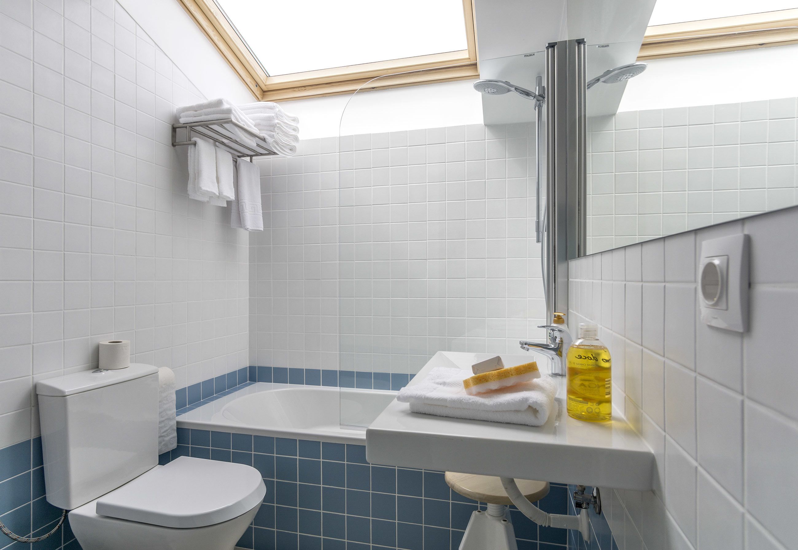 A bathroom with a toilet, a sink with a mirror, a bathtub, and a skylight.