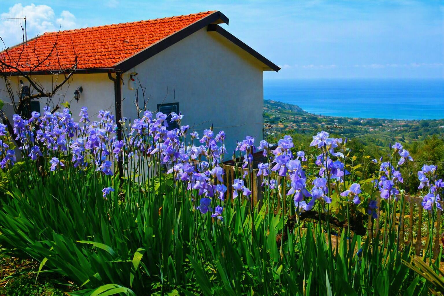 A white building with a red roof, surrounded by purple flowers and a view of the sea.