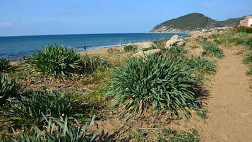 Playa en los alrededores
