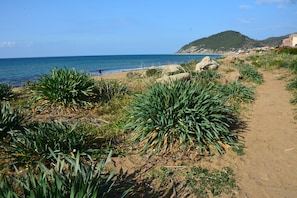 In StrandnÀhe