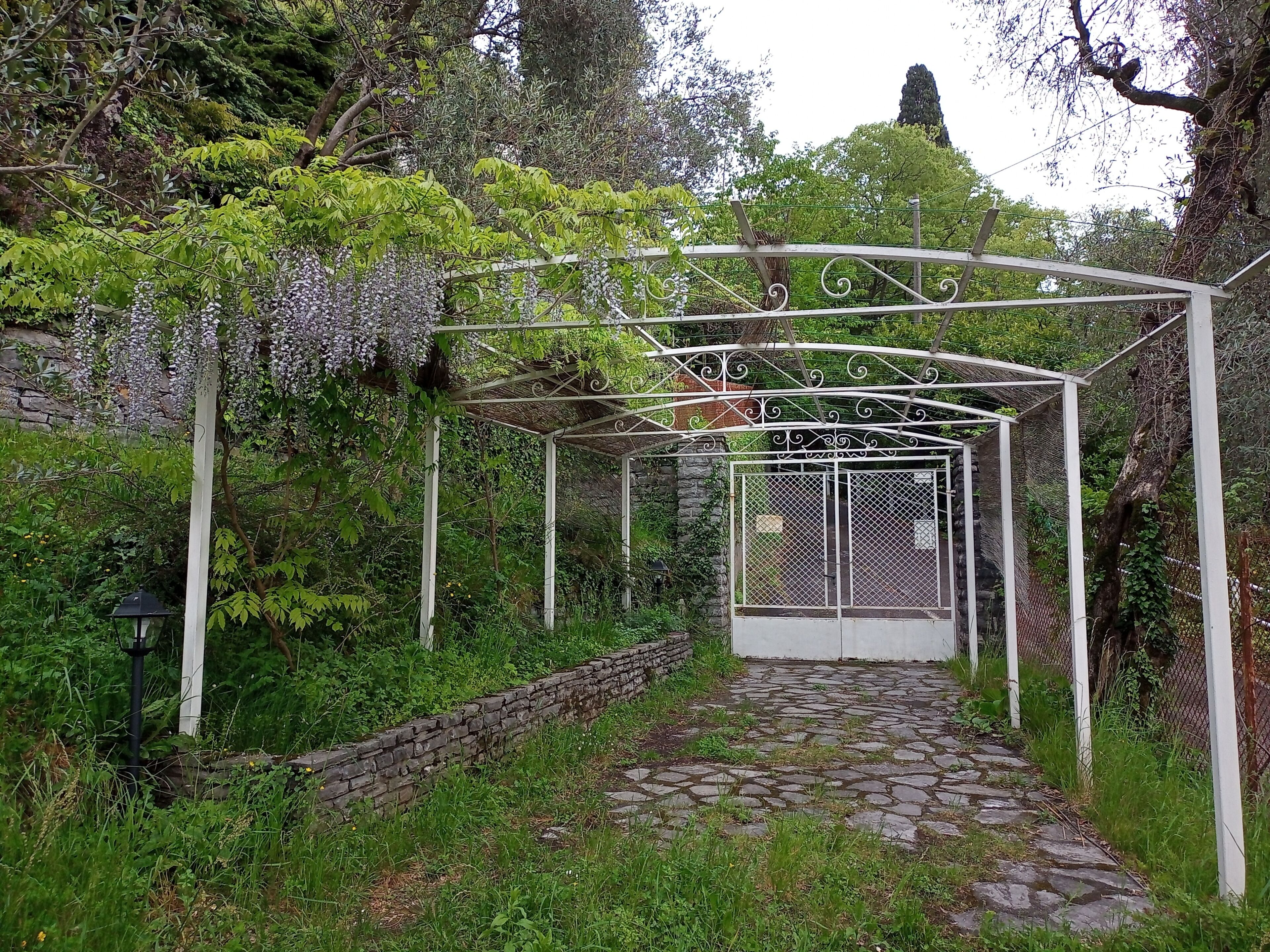 Ein gepflasterter Weg führt zu einer weißen Metall-Pergola mit dekorativem Design, umgeben von üppigem Grün und einer Steinmauer.