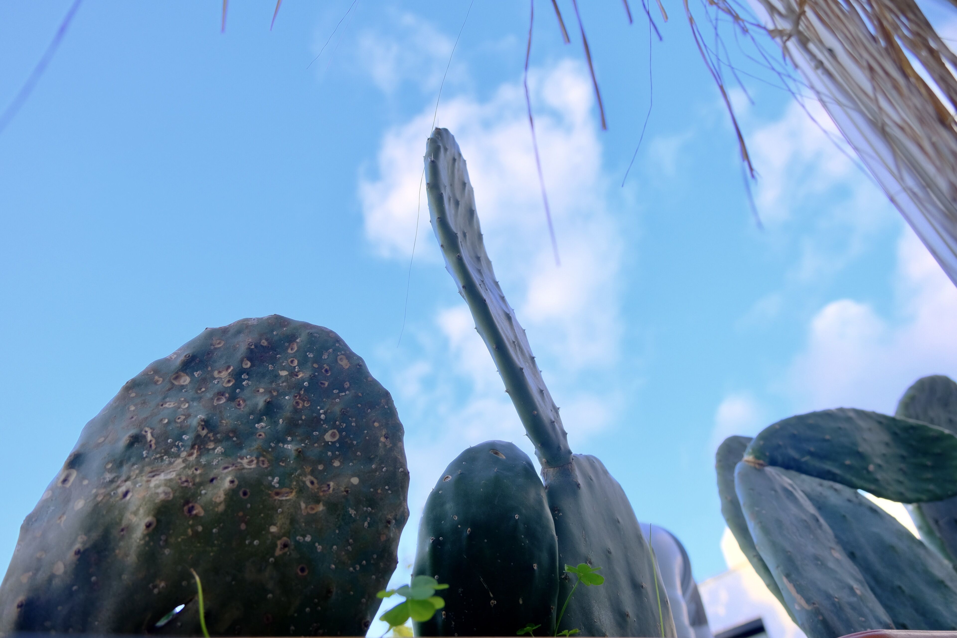 Photo - L'onda Oda Bodrum