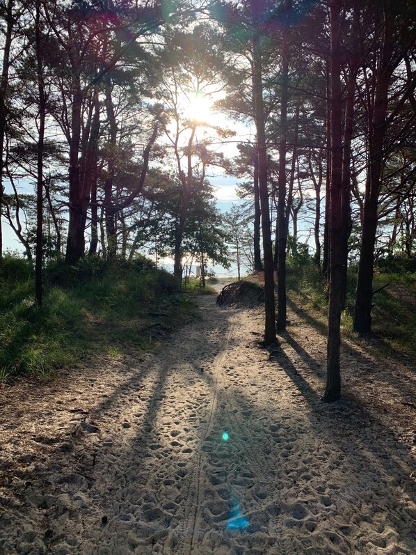 Strand