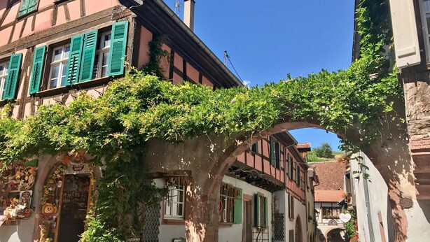 Una estrecha calle adoquinada con casas tradicionales de entramado y verde exuberante, un arco cubierto de vegetación y un cielo azul despejado.