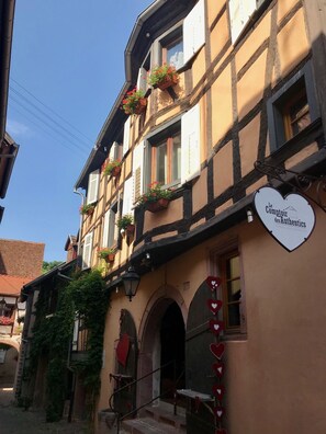 Detalle exterior