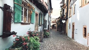 Un callejón adoquinado con edificios tradicionales europeos, contraventanas verdes y macetas con plantas.