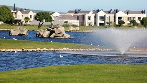 Exterior - Bibi's at Langebaan Golf Estate (Langebaan)