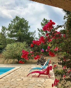 Pool - New 🏖️ Very pretty villa next to the beach, land of 2750 m² 🏖️☀️ (Solaro)