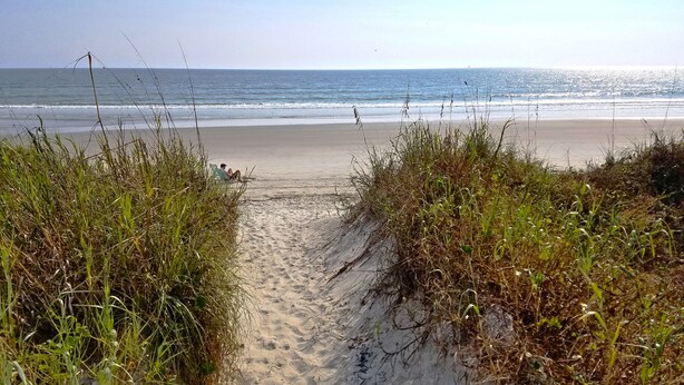A beach path leading to the ocean, surrounded by grass and sand.