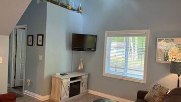 TV, fireplace, DVD player, books