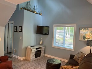 Televisión, chimenea, reproductor de DVD y libros 