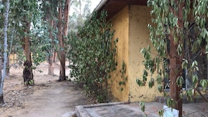 Un edificio con fachada amarilla, rodeado de árboles y un sendero de tierra.