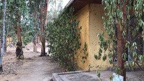 Casa família, 4 quartos, acessível, vista para o jardim | Vista para o jardim
