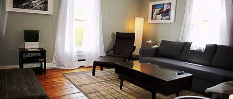 Fladskærms-tv, Netflix, bøger, streamingtjenester