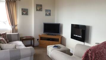 Televisión, reproductor de DVD