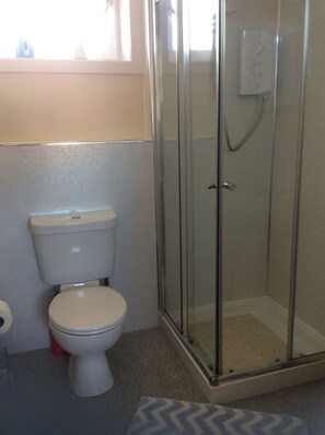 Hair dryer, towels, toilet paper