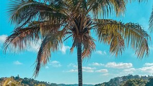 A tropical landscape with a clear blue sky, a palm tree, and a small pool surrounded by rocks. - Confraria Colonial Hotel Boutique (Mairinque)