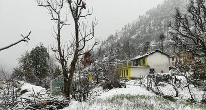 Pindari Glacier with family