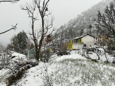 Pindari Glacier with family
