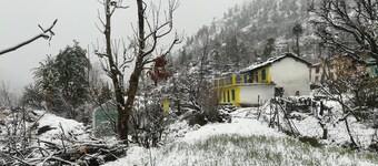 Pindari Glacier with family