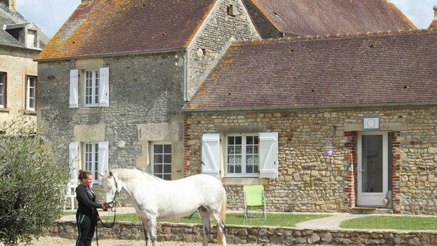 A stone building with a sloped roof, a white horse, and a person leading the horse. - Independent house with garden at equestrian, pets allowed (Montabard)