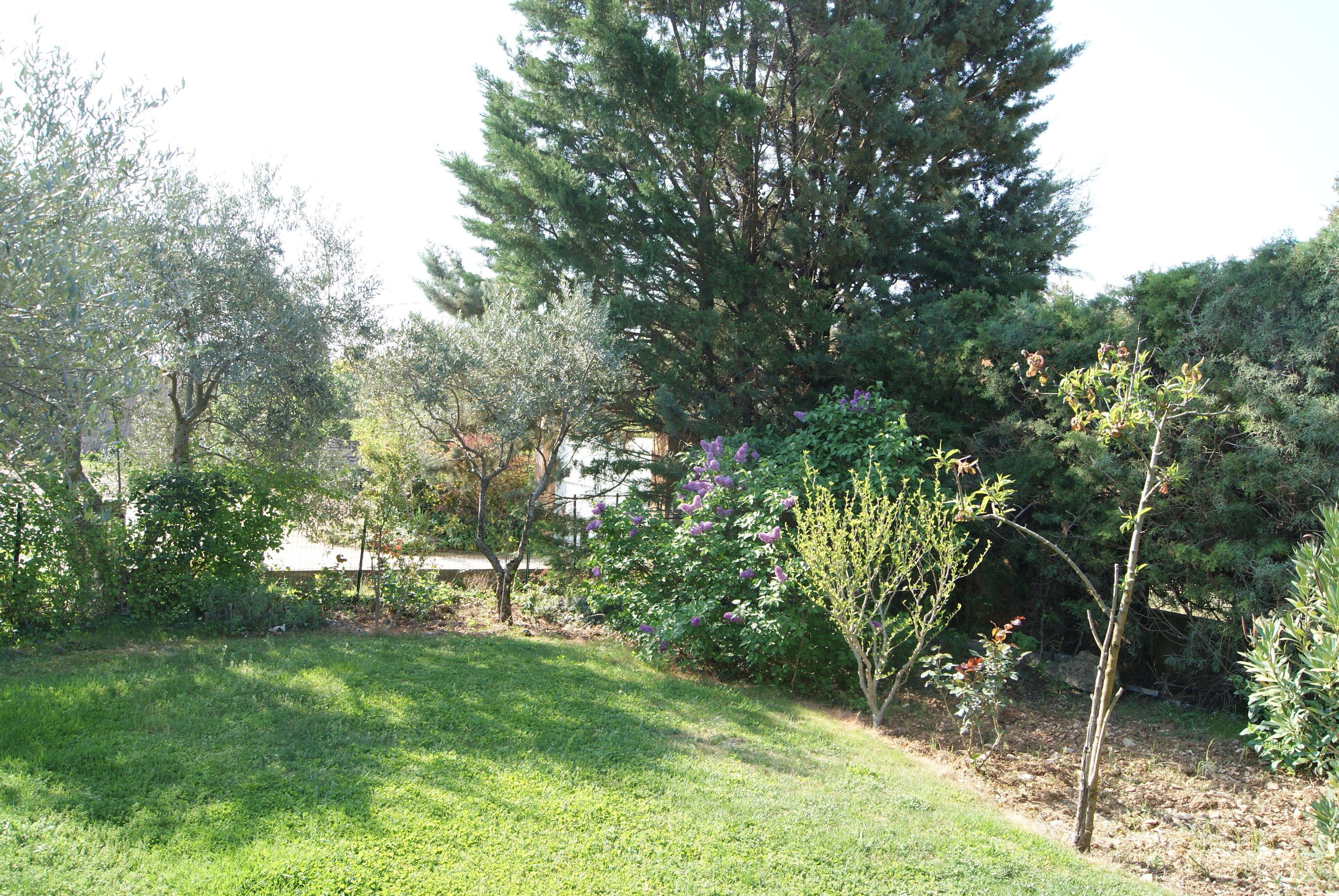 Un jardí ben cuidat amb diversos arbres i arbustos, un prat verdós i un cel serè.