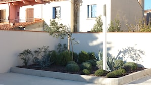 A garden with various plants and a small tree.