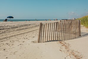 On the beach
