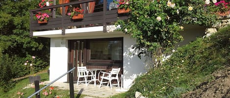 Terras
