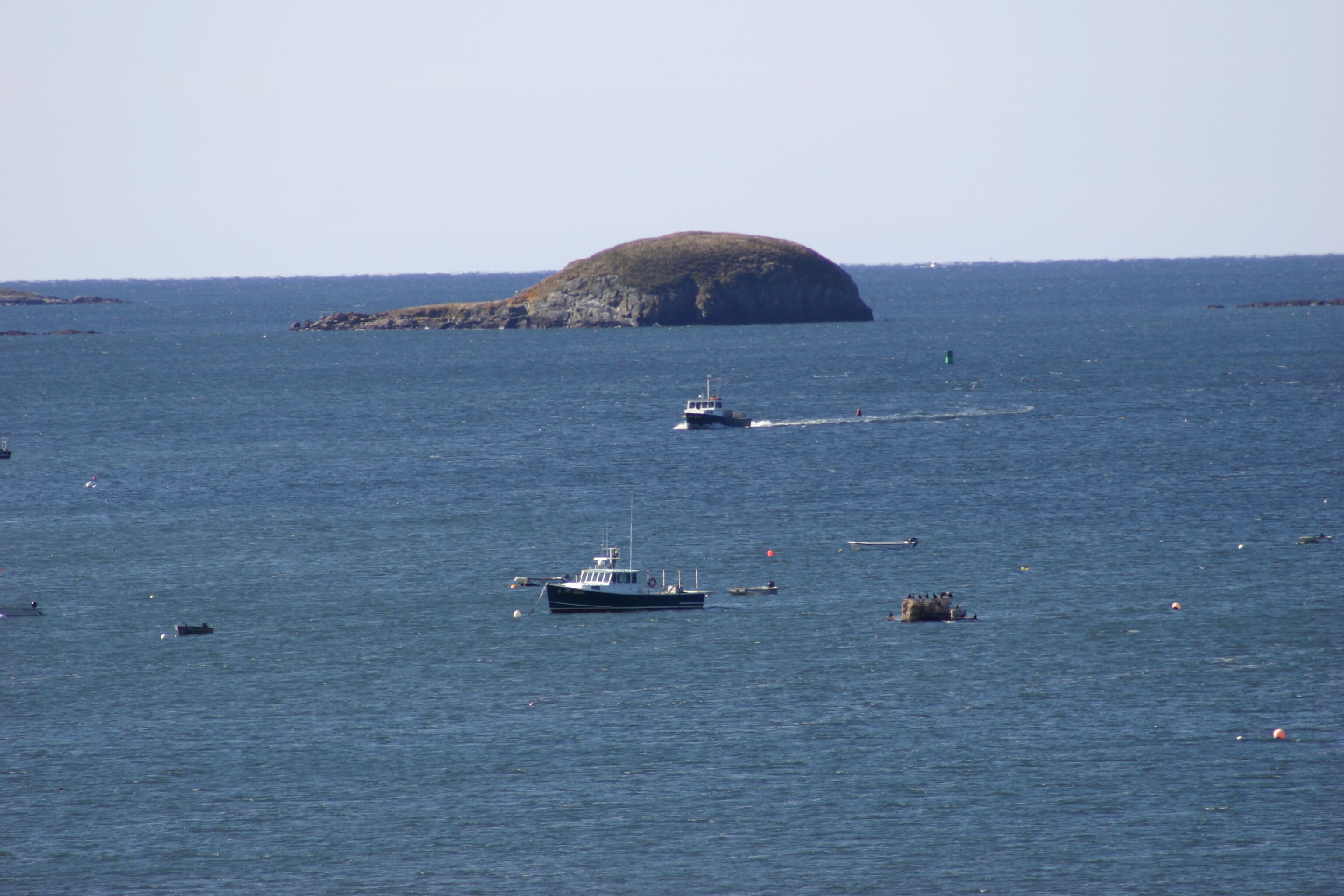 A coastal scene with a small island and several boats on the water.