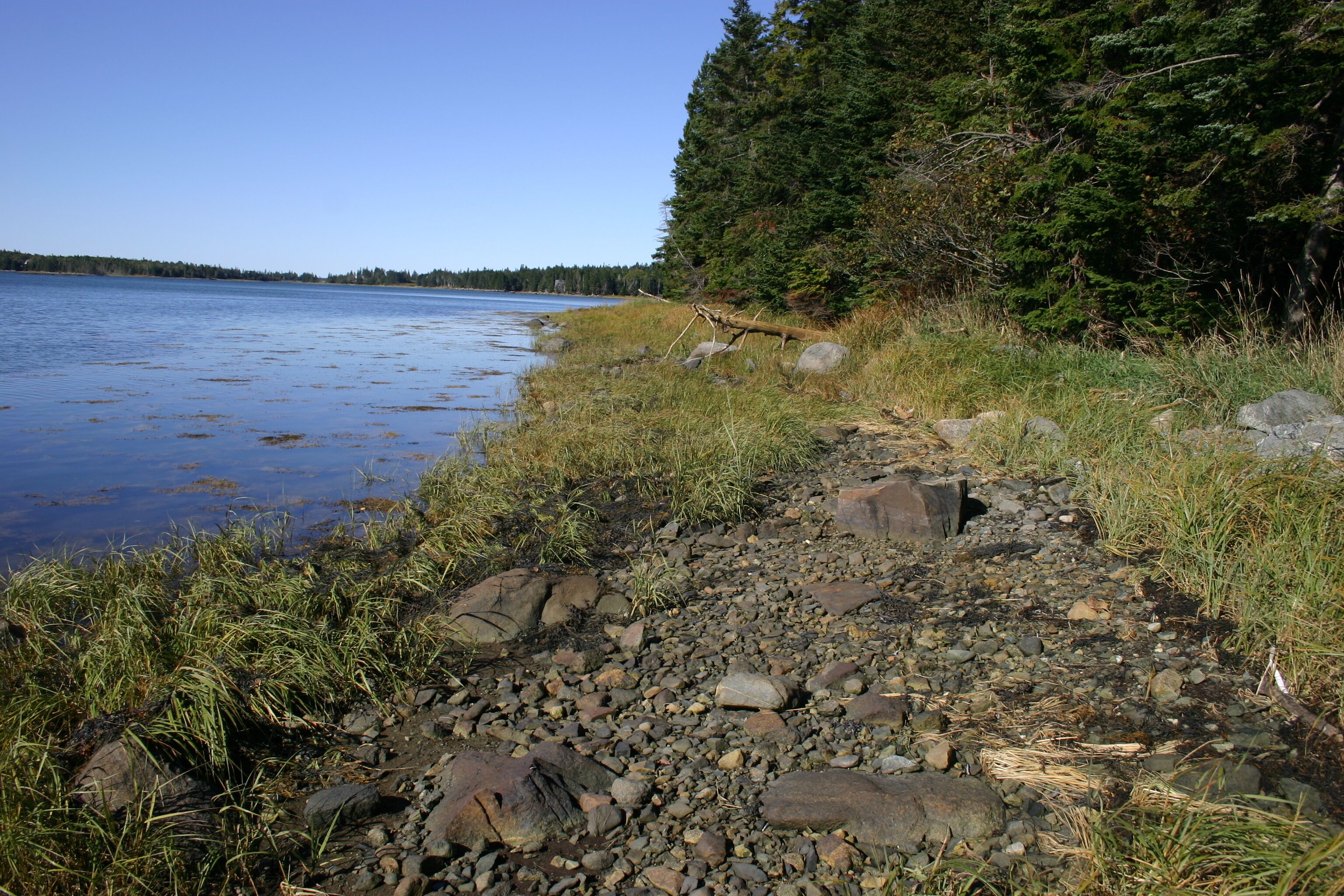 Une côte rocheuse offrant une vue dégagée sur un lac et une forêt dense en arrière-plan.