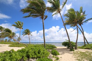 Chaises longues, serviettes de plage