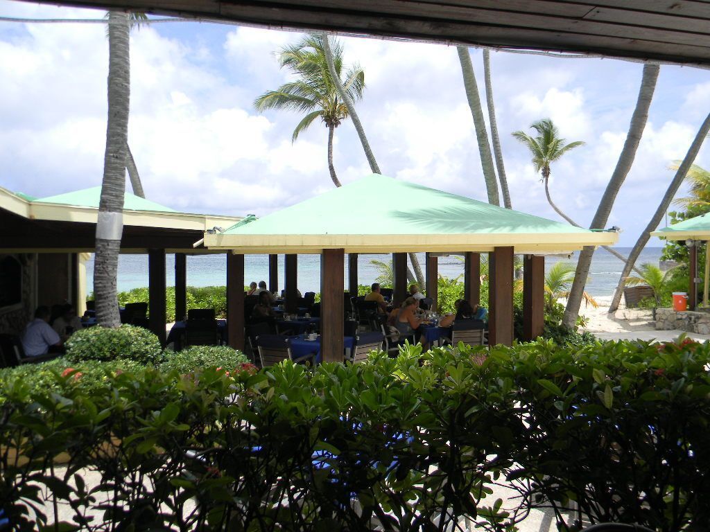 Een buitenzitplaats met parasols, palmbomen en uitzicht op de oceaan.