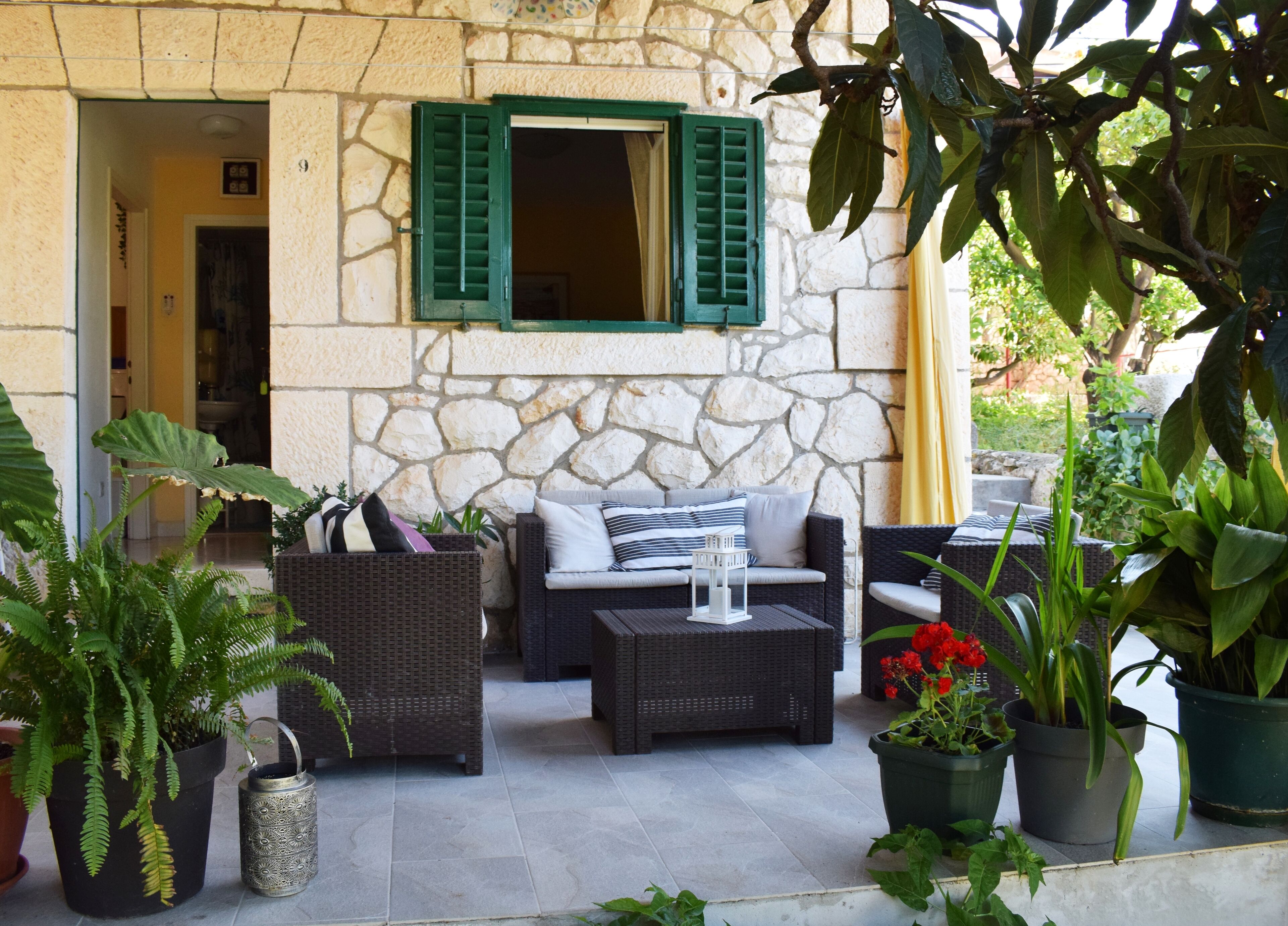 テラス / パティオ