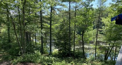 Secluded Waterfront Real Estate - Dams Beach