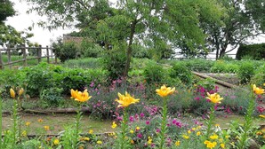 Un jardin agrémenté de diverses fleurs et plantes, une clôture en bois et des arbres en arrière-plan.