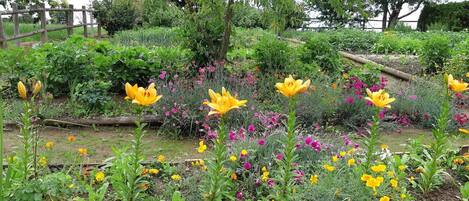 Overnatningsstedets område