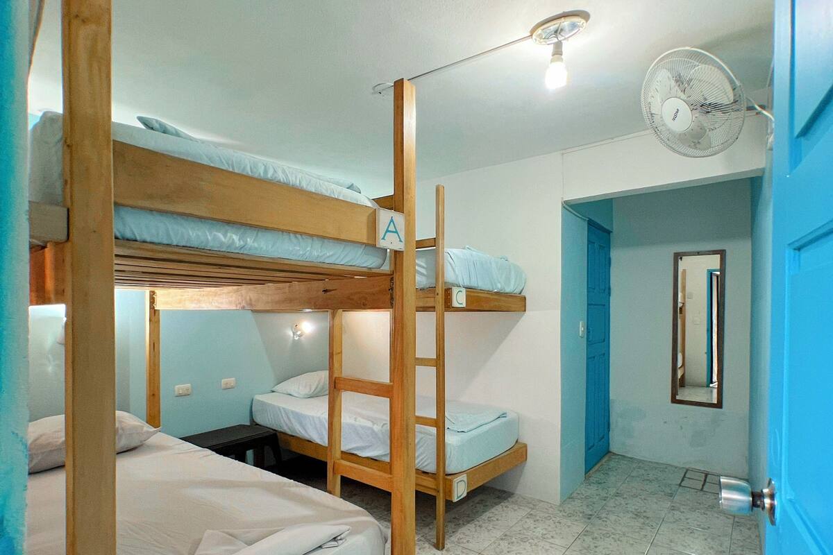 A dormitory room with bunk beds, a fan, a mirror, and a door.