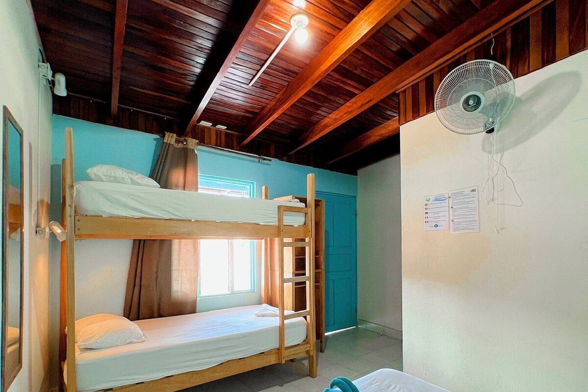 A dormitory room with bunk beds, a fan, and a window.