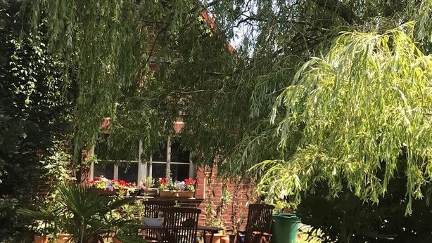 Un espace patio avec une table et des chaises, entouré de plantes en pot et d’un mur en briques.