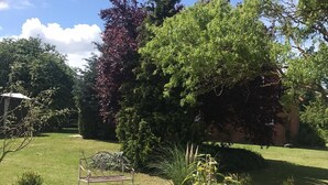 Un jardin avec un banc, un petit étang et différentes sortes de plantes.