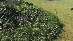 Une maison à deux étages, avec un toit recouvert de tuiles rouges, un jardin à l’avant et un ciel dégagé.