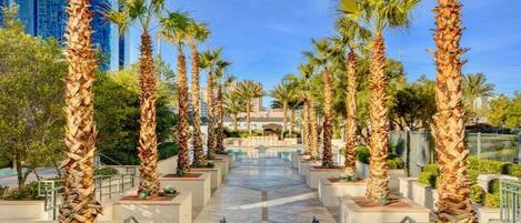 Áreas de la propiedad