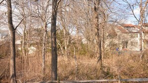 Un quartier résidentiel où les arbres sont sans feuilles et où l’on trouve une rangée de maisons aux toits rouges.